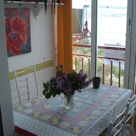Apartment Nada ซริกเวนิซา ภายนอก รูปภาพ