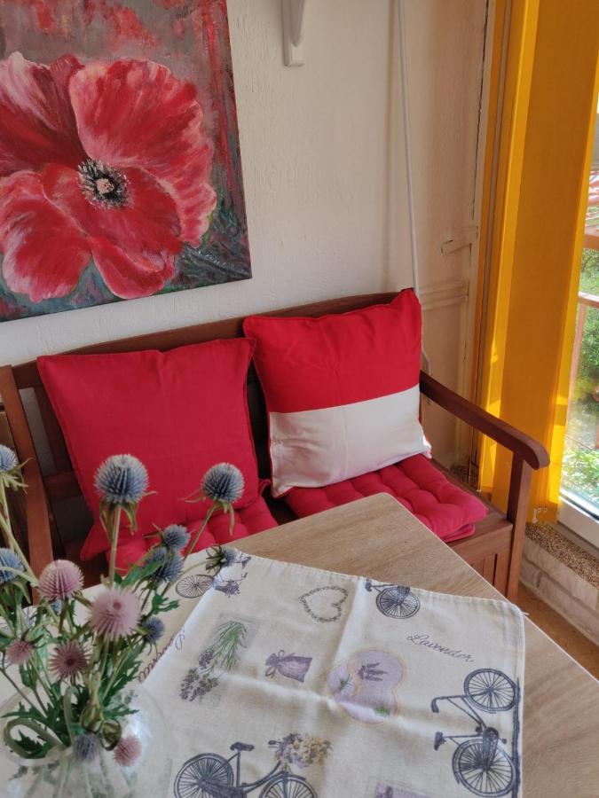 Apartment Nada ซริกเวนิซา ภายนอก รูปภาพ