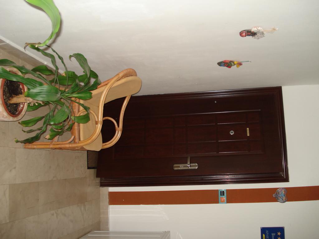 Apartment Nada ซริกเวนิซา ภายนอก รูปภาพ